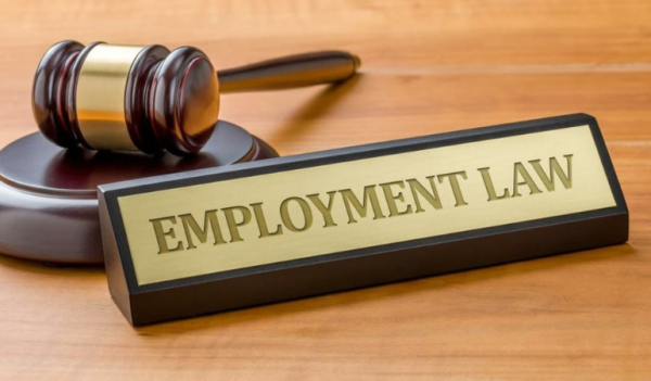 Best Employment Lawyers in New Delhi